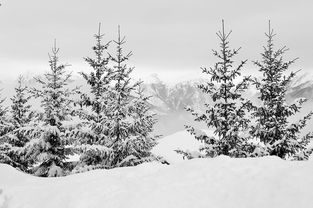 -冬季滑雪公开课受家长学生欢迎，冬季滑雪公开课受家长学生欢迎怎么办
