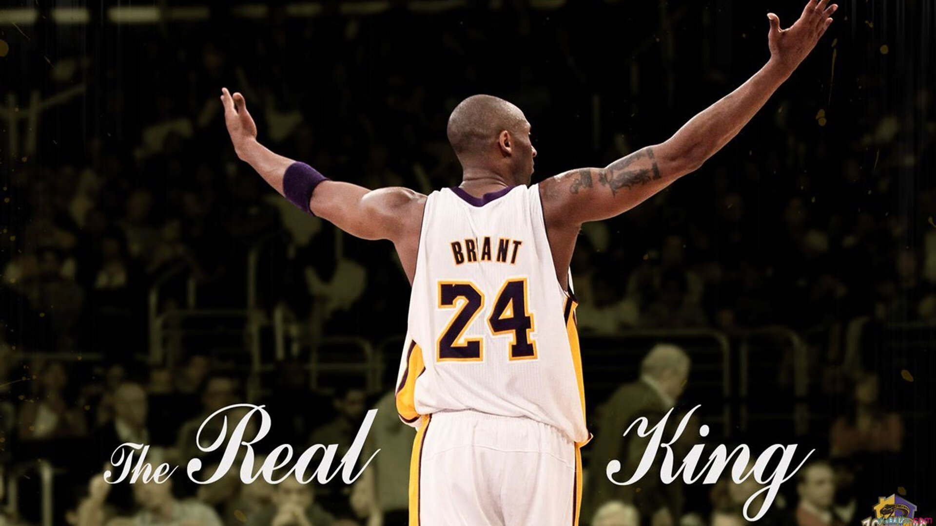 九游下载电脑版官网-《【行业动向】跨界融合，电竞与综艺娱乐联手拓展新空间》，电竞跨界营销